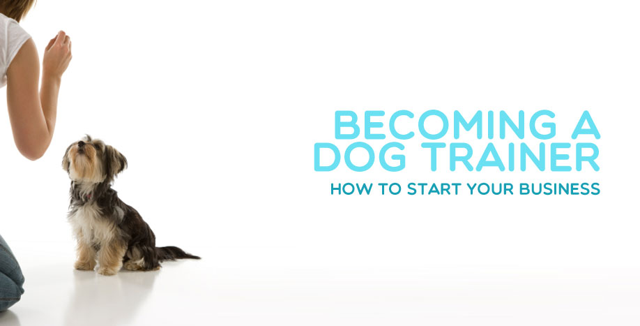becoming-a-dog-trainer