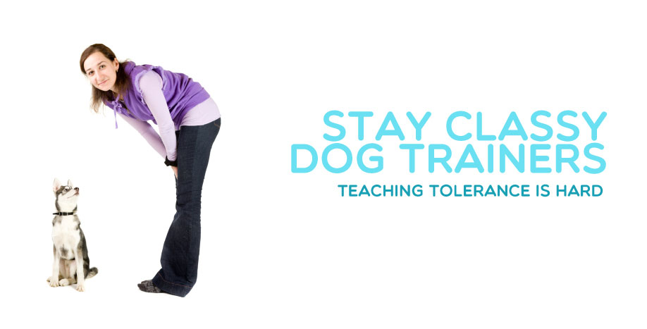 stay-classy-dog-trainers
