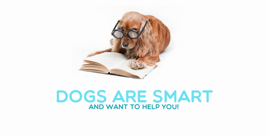 smart-dogs