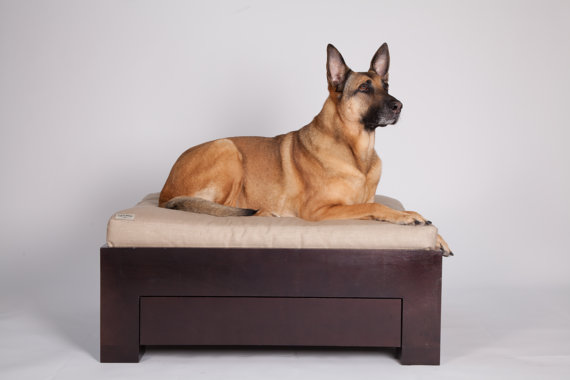 etsy-orth-dog-bed